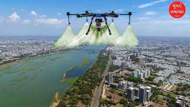 Spraying medicine using drones in Surat