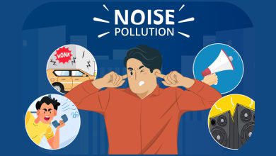 Strict rules imposed to prevent noise pollution in Vadodara: Control on horns, DJs and mic systems between 10 pm and 6 am