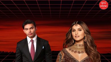 Tara Sutaria dating Veer Pahadia post goes viral...