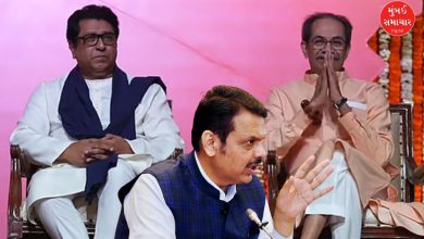 Thackeray Brothers and Fadnavis Face to Face