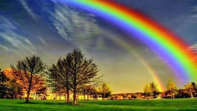 That's all for today: the final exchange...