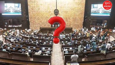 The Vice President of the country