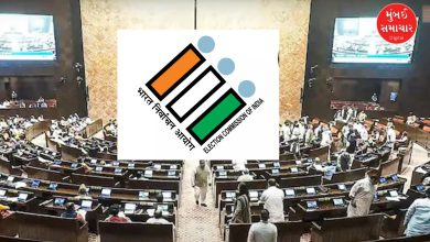 The date for the VP election will be announced next week.