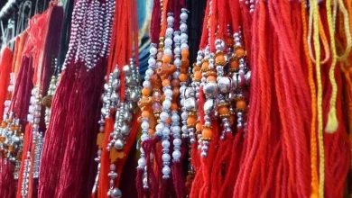 This time on Raksha Bandhan, Labooboo Rakhi trend