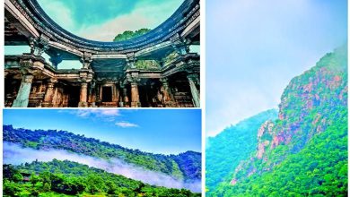 Travel Plus: The splendor of the monsoon in the forests of Polo! The season to immerse yourself in nature. The supernatural forests of Polo in Gujarat during the monsoon season.