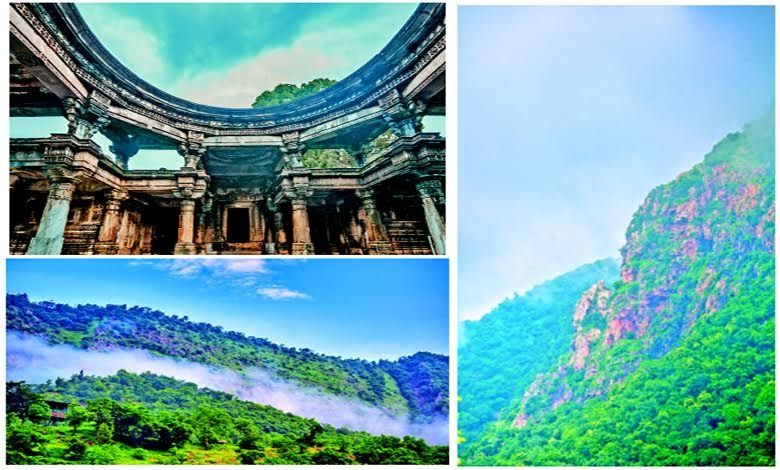 Travel Plus: The splendor of the monsoon in the forests of Polo! The season to immerse yourself in nature. The supernatural forests of Polo in Gujarat during the monsoon season.