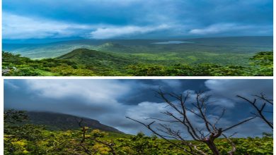 ટ્રાવેલ પ્લસ : લીલોછમ્મ ગરવો ગઢ ગિરનાર!