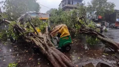 વલસાડમાં ત્રણ બાળકો પર પડેલું મહાકાય લીમડાનું વૃક્ષ