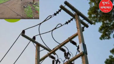 Two PGVCL electricity workers tragically die due to electrocution in Gondal