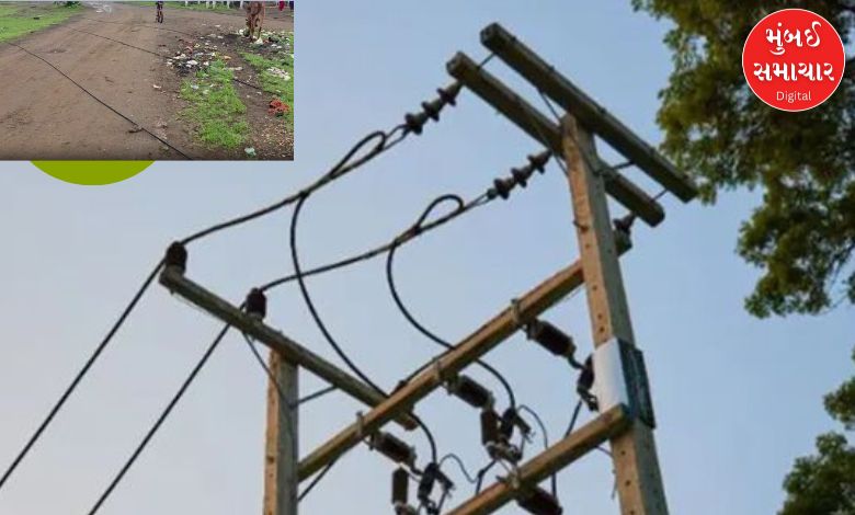 Two PGVCL electricity workers tragically die due to electrocution in Gondal