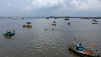 Unregistered boats on Raigad coast