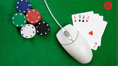 રમીના રવાડે ચડ્યા વાઇસ પ્રિન્સિપાલ! દેવું વધી જતા કોલેજમાંથી કરી 8 લાખની ચોરી