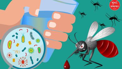 અમદાવાદમાં એક દાયકામાં પાણીજન્ય અને મચ્છરજન્ય રોગોએ લીધો 897 લોકોનો ભોગ: RTIમાં ખુલાસો