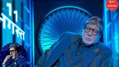 Why did Amitabh Bachchan say that where there is intelligence, there is ignorance...