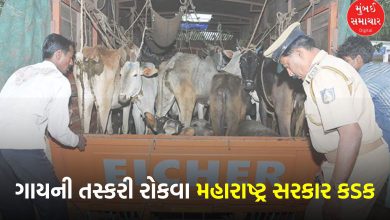 Maharashtra to Bring Law Against Cow Smuggling