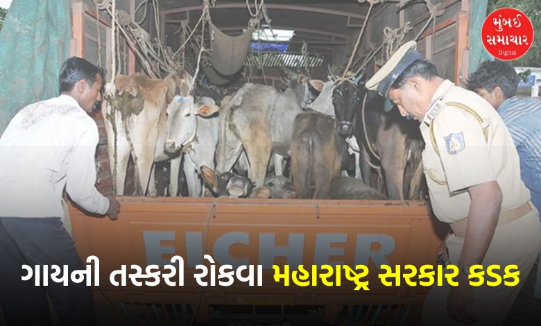 Maharashtra to Bring Law Against Cow Smuggling