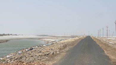 Pakistani infiltrator caught from Lakhpatwali Creek in Kutch, interrogation begins