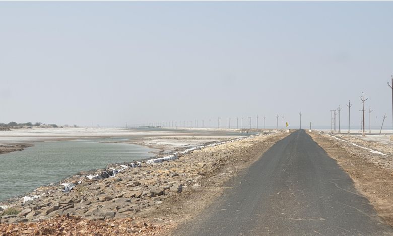 Pakistani infiltrator caught from Lakhpatwali Creek in Kutch, interrogation begins