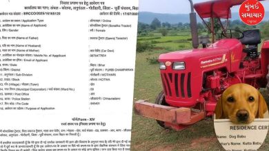 Series of strange applications in Bihar: After 'dog', now residence certificate sought for 'tractor'!