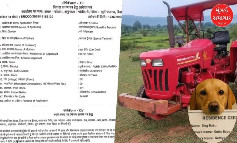 Series of strange applications in Bihar: After 'dog', now residence certificate sought for 'tractor'!