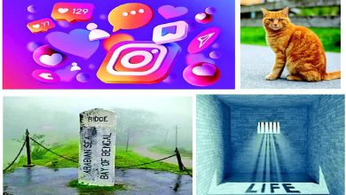 અજબ ગજબની દુનિયાના કિસ્સાઓ દર્શાવતી રંગીન કાર્ટૂન અથવા કોલાજ છબી.