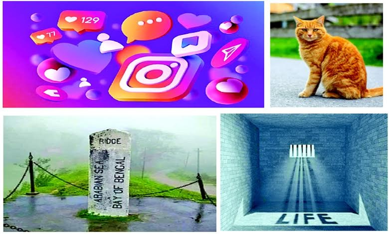 અજબ ગજબની દુનિયાના કિસ્સાઓ દર્શાવતી રંગીન કાર્ટૂન અથવા કોલાજ છબી.