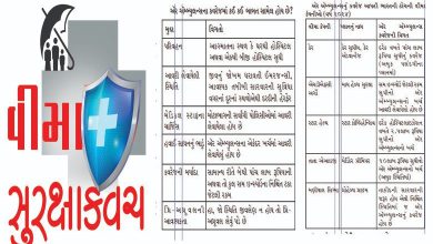 આરોગ્ય વીમા હેઠળ કઈ રીતે મળી શકે ઍર ઍમ્બ્યુલન્સની સુવિધા.