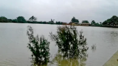 Inspirational talk: An elderly citizen has been cleaning this lake in Kutch for 17 years