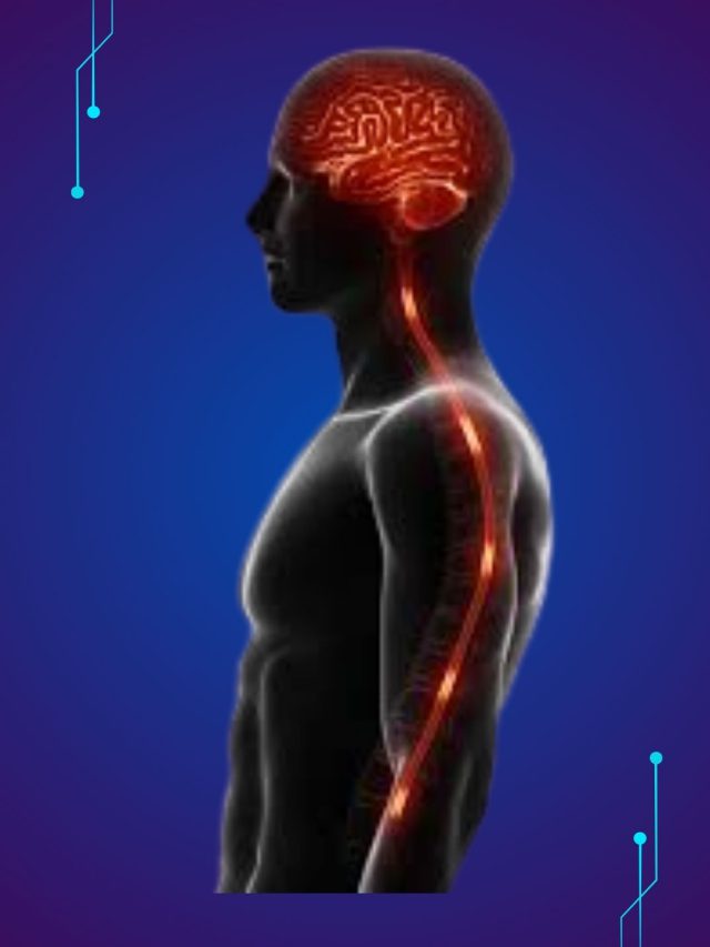 Nerves-નસોની નબળાઈને અવગણશો નહીં, જાણી લો