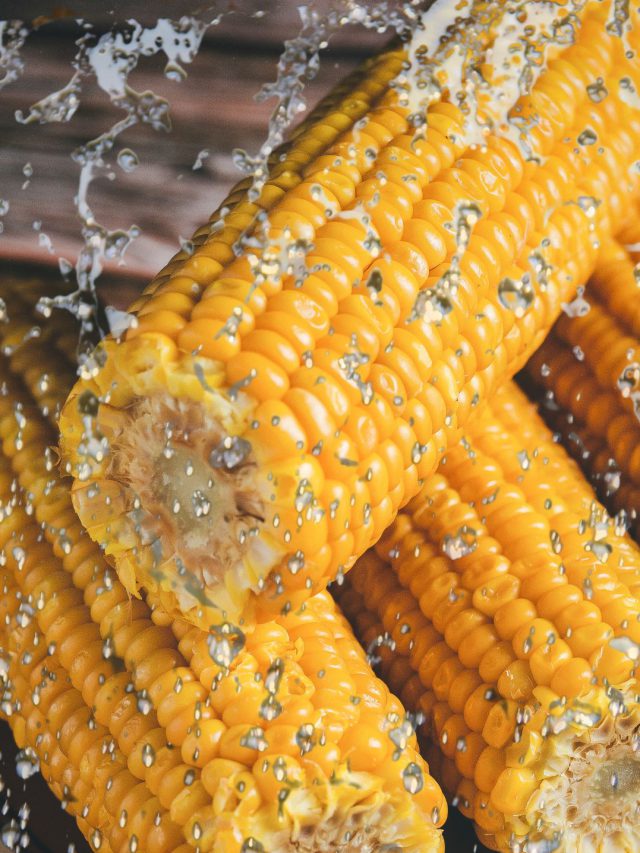 ચોમાસામાં મકાઈની મજા માણો અને મેળવો આ ફાયદા