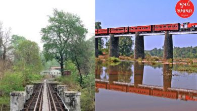 112-year-old bridge over Ambika river in dangerous condition! Urgent repairs ordered