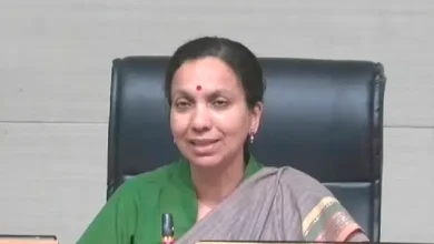 Survey Numbers Converted in Old Condition
