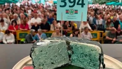 10-month-old, stinking cheese sold for 36 lakh rupees, if you know the reason...