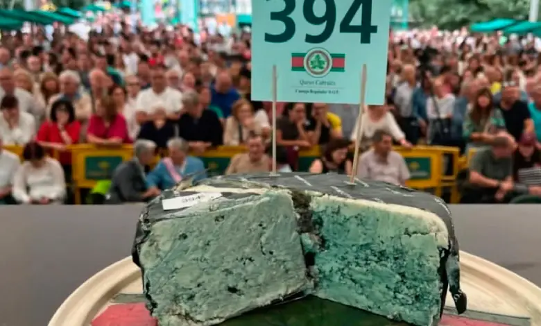 10-month-old, stinking cheese sold for 36 lakh rupees, if you know the reason...