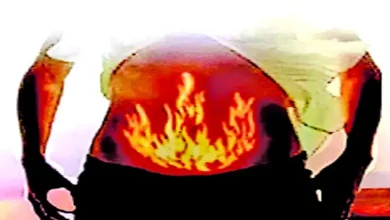 What are the three pillars of a healthy life?