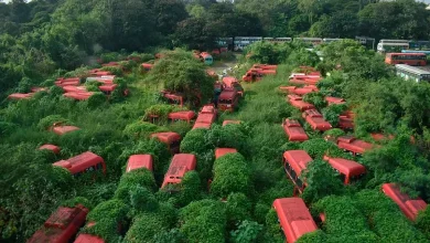 Idle Buses in Anik Depot