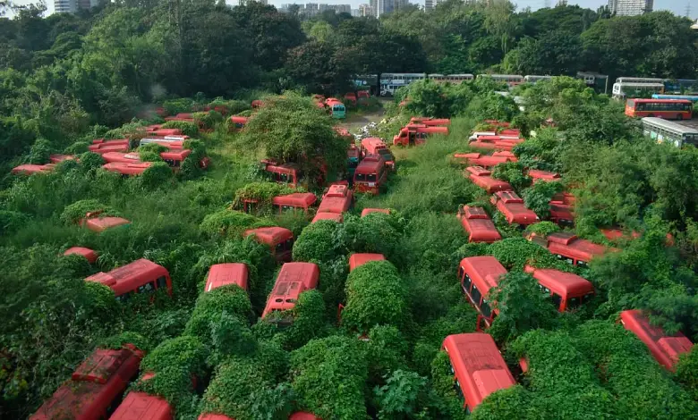 Idle Buses in Anik Depot
