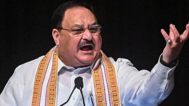 JP Nadda's scathing attack on Congress: Keep taking pills and feeding biryani...