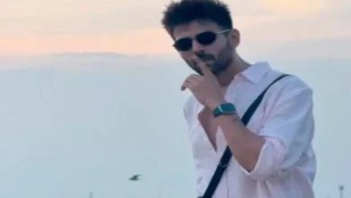 Who did Kartik Aaryan 'cheat' with at the Coldplay concert?, fans said...