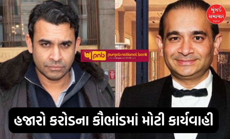 Punjab National Bank scam: India's big success, Nirav Modi's brother Nehal Modi arrested in America