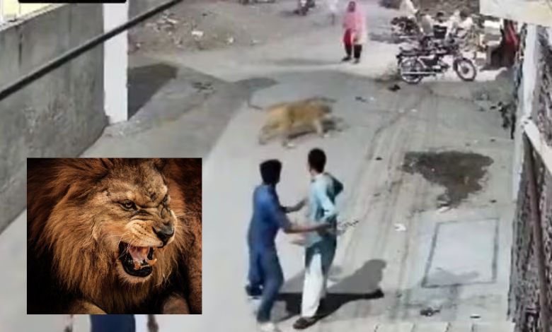 Pet lion attacks three people including two children in Lahore, video goes viral on social media
