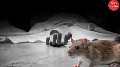 Shocking incident in Vadodara: Youth dies during treatment after being bitten by a rat