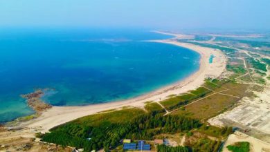 Are you planning to go to Shivrajpur beach? Then know this, otherwise the fun will be dull.