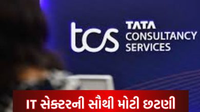TCS Layoffs 2025: 12,000 Employees to be Affected
