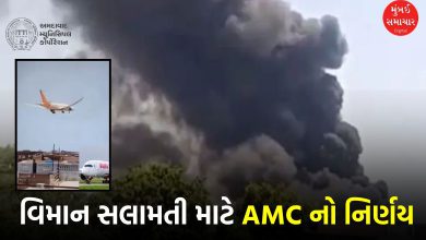 AMC's big decision after plane crash: 1000+ trees to be trimmed in airport corridor