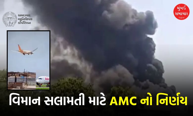 AMC's big decision after plane crash: 1000+ trees to be trimmed in airport corridor
