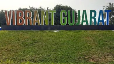 Gujarat's Vibrant Summit: Does it Drive FDI?