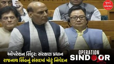 Indian military personnel or Defense Minister Rajnath Singh