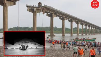 Death toll in Gambhira Bridge accident reaches 16: Government forms SIT