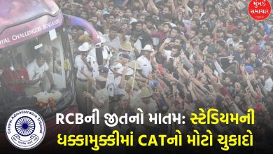 "CAT Holds RCB Liable for Bengaluru Stampede"